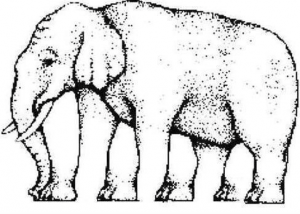 Trading distortion elephant with five feet